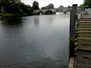 The Thames on a overcast afternoon